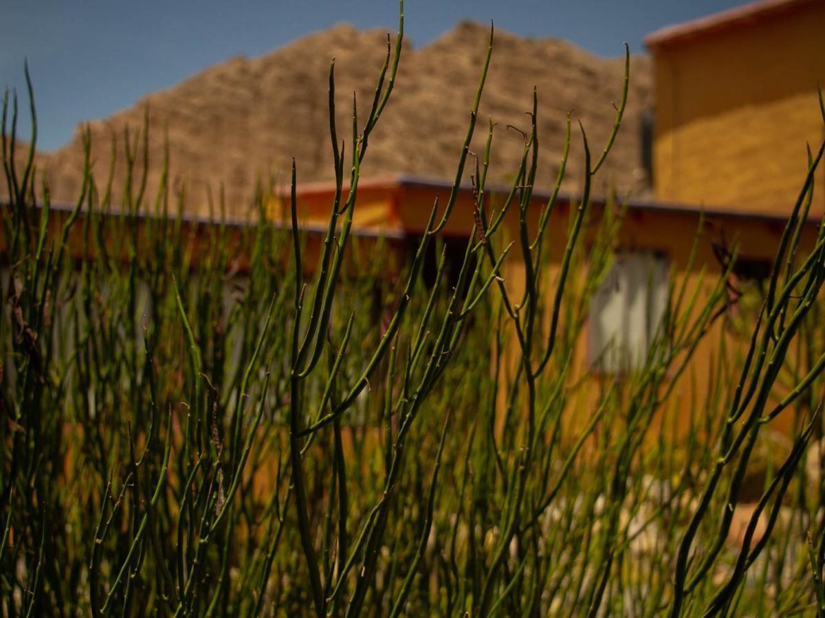 Bed and Breakfast Retama Tilcara Exterior foto