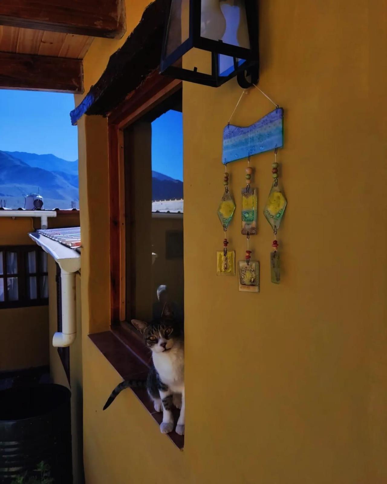 Bed and Breakfast Retama Tilcara Exterior foto